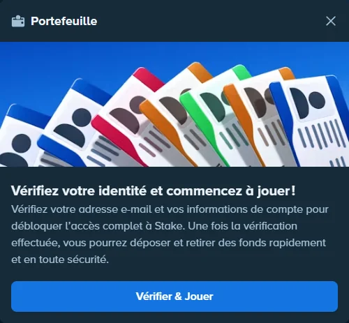 Portefeuille Stake qui demande de vérifier l'adresse courriel et les informations du compte avant un dépôt